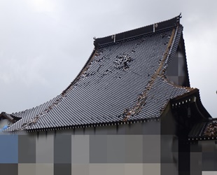熊本地震の被害状況